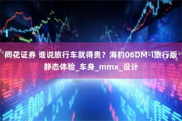 同花证券 谁说旅行车就得贵？海豹06DM-i旅行版静态体验_车身_mmx_设计