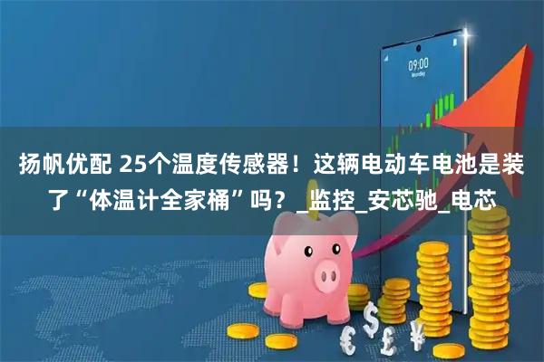 扬帆优配 25个温度传感器！这辆电动车电池是装了“体温计全家桶”吗？_监控_安芯驰_电芯