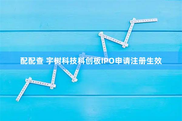 配配查 宇树科技科创板IPO申请注册生效
